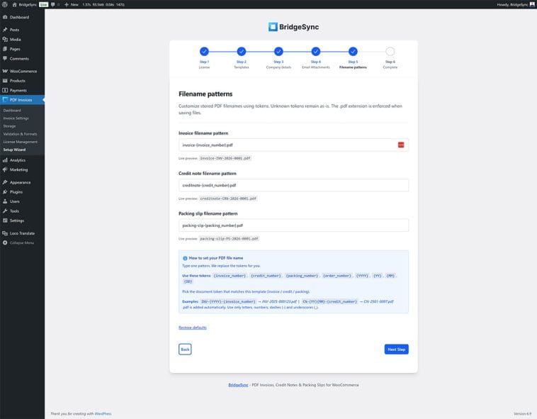 Setup wizard step 5: email attachments
